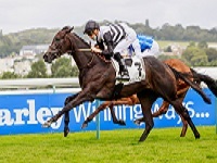 Coronation stakes 2022 betting websites uk horse racing betting rules holdem
