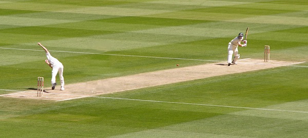 Cricket_picture copyright wikipedia